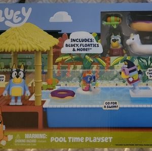 Bluey pool time